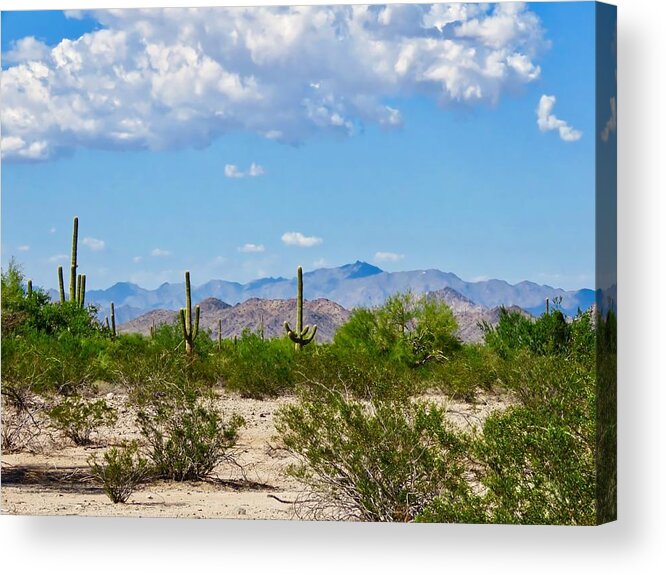 Arizona Acrylic Print featuring the photograph Arizona Desert Hidden Valley by Judy Kennedy