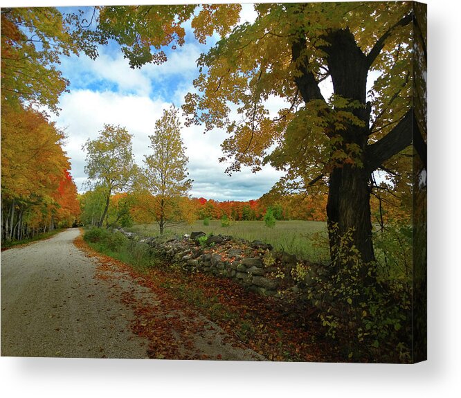October Acrylic Print featuring the photograph Back Road Fall Colors by David T Wilkinson