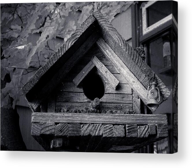 Bird House Acrylic Print featuring the photograph Bird House by Anamar Pictures