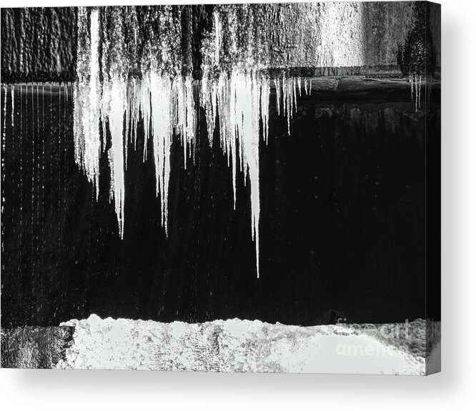 Black And White Acrylic Print featuring the photograph Black And White Icicles by Phil Perkins