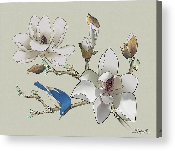 Bluebird Acrylic Print featuring the painting Bluebird and Magnolia by M Spadecaller