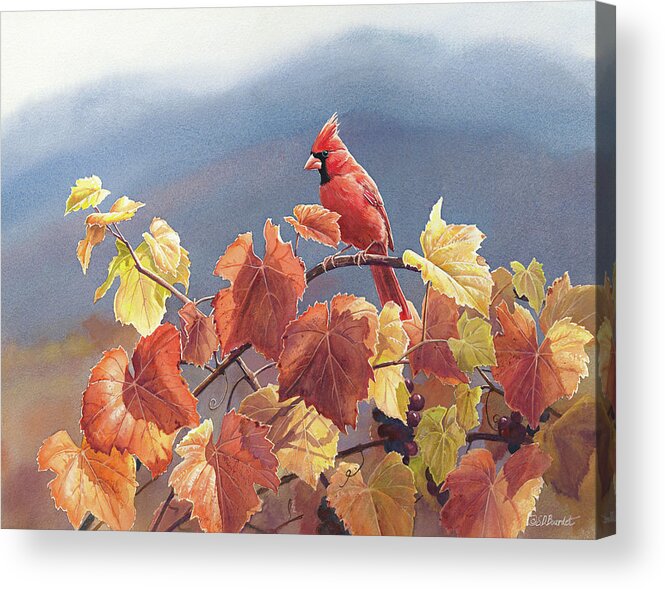 Robin Acrylic Print featuring the painting Cardinal And Fall Grapes by Wild Wings