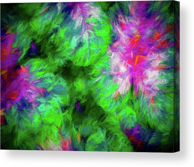 Coleus Acrylic Print featuring the photograph Coleus by Paul Wear