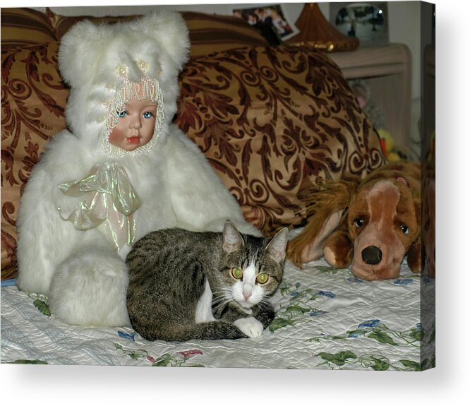 Doll Acrylic Print featuring the photograph Comfort is by C Winslow Shafer