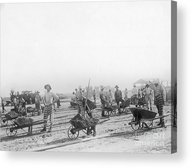 Working Acrylic Print featuring the photograph Convicts Working On A Farm by Bettmann