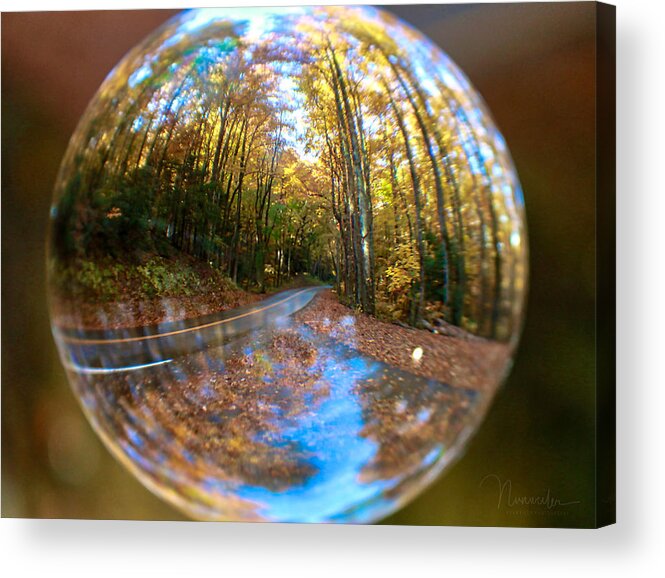 Nunweiler Acrylic Print featuring the photograph Crystal Ball Forest by Nunweiler Photography