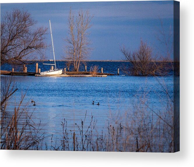 Sail Acrylic Print featuring the photograph Docked Sail Boat by Buck Buchanan