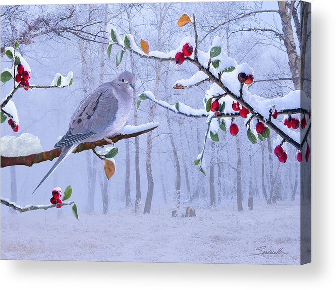 Dove Acrylic Print featuring the digital art Dove by M Spadecaller