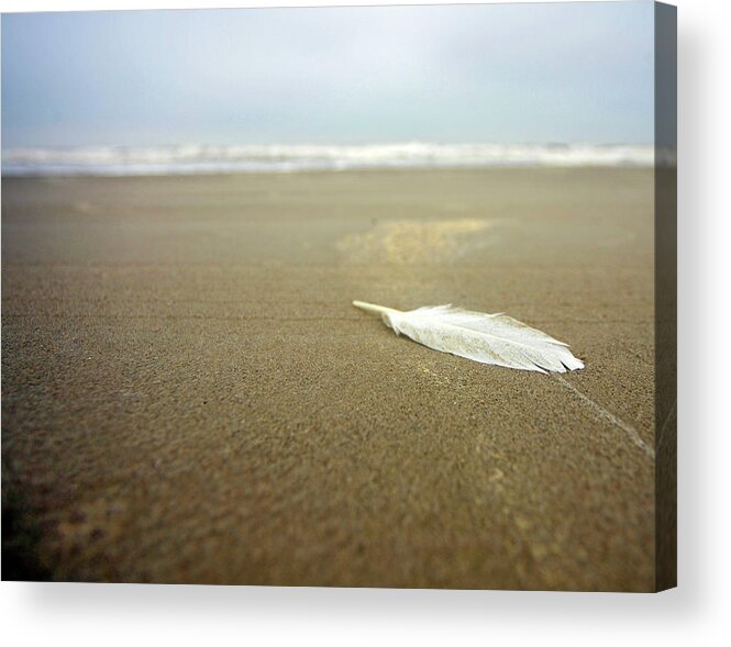 Water's Edge Acrylic Print featuring the photograph Feather Beach Clouds by Andrew Morrell Photography