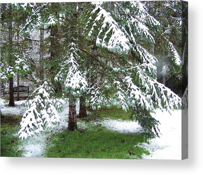 Landscape Acrylic Print featuring the photograph First Snow by Julie Rauscher