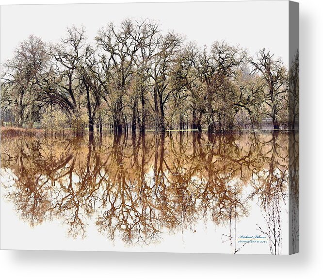 Landscape Acrylic Print featuring the photograph Flooded Laguna de Santa Rosa by Richard Thomas