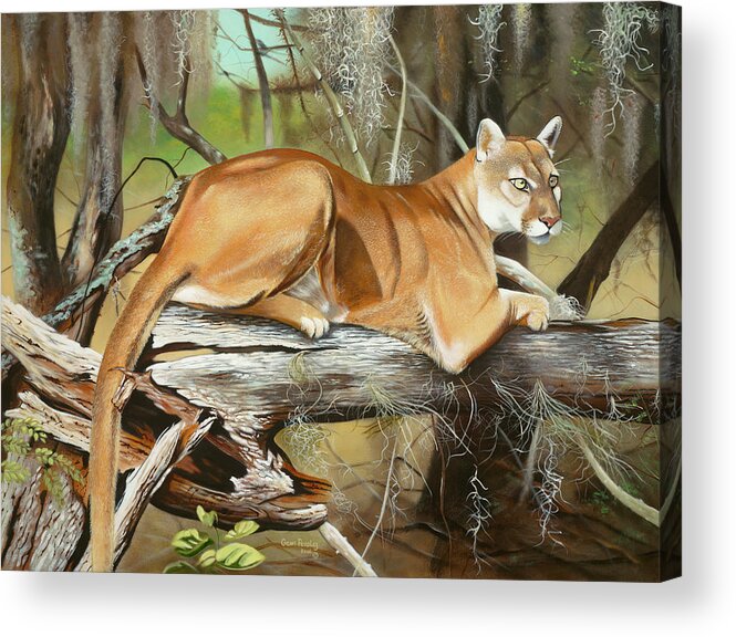 Florida Panther Acrylic Print featuring the painting Florida Panther by Geno Peoples