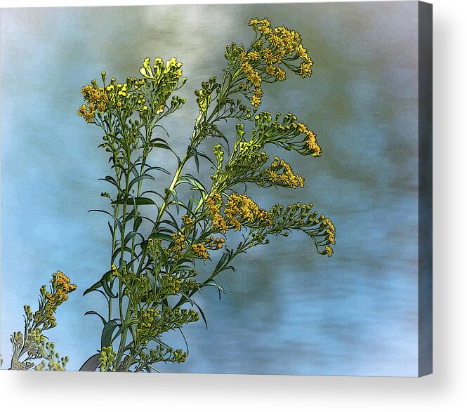 Yellow Flower Acrylic Print featuring the photograph Flowers at Water's Edge by Cordia Murphy