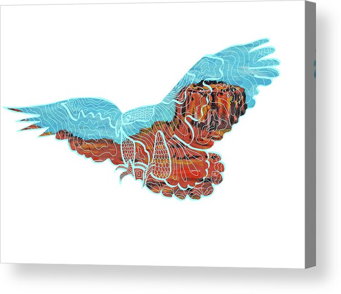Flying Eagle Acrylic Print featuring the painting Flying Eagle by Wolf Heart Illustrations