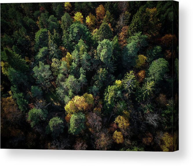 Drone Acrylic Print featuring the photograph Forest Landscape - Aerial Photography by Nicklas Gustafsson