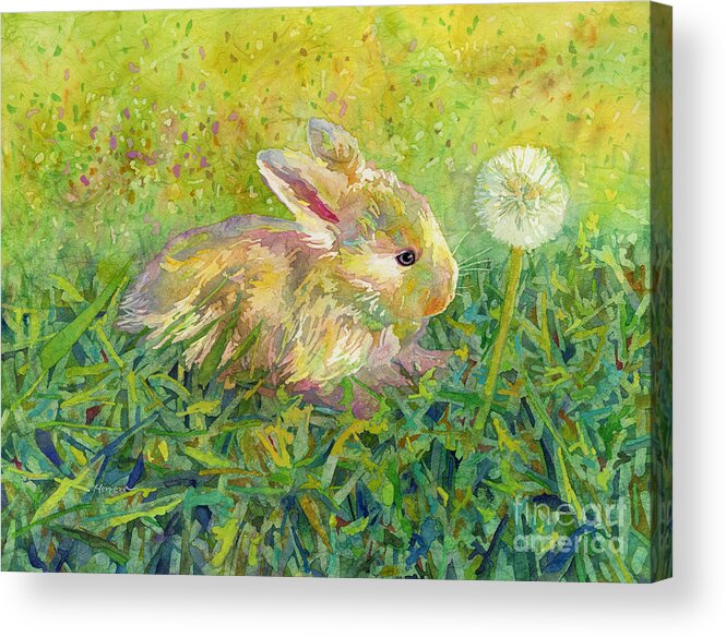 Rabbit Acrylic Print featuring the painting Gentle Wish by Hailey E Herrera