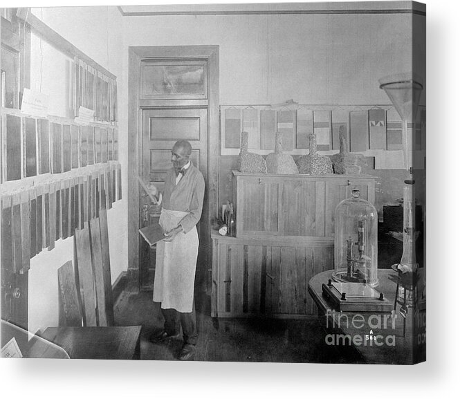 Milk Acrylic Print featuring the photograph George Washington Carver Conducts by Bettmann