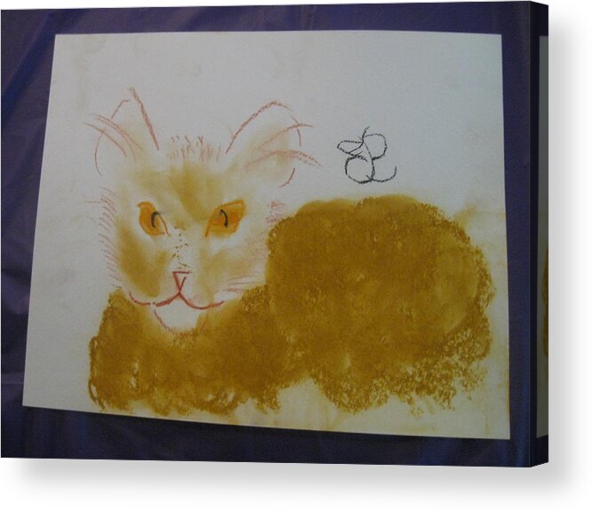 Cat Acrylic Print featuring the drawing Golden Cat by AJ Brown