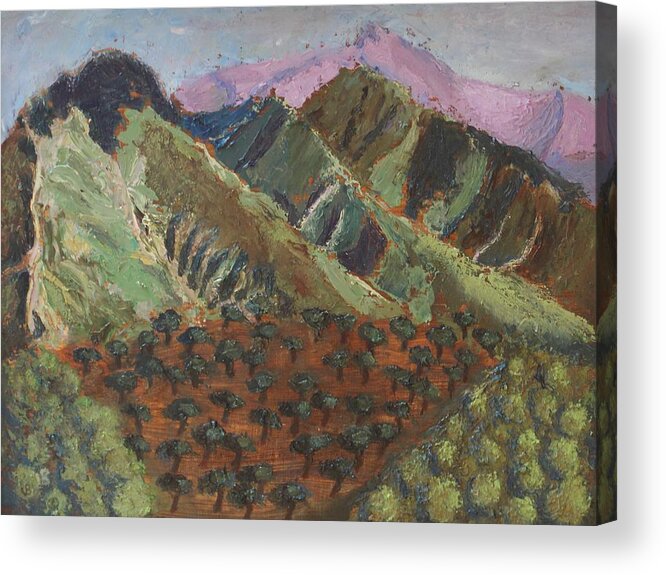Mountain Acrylic Print featuring the painting Green Canigou by Vera Smith
