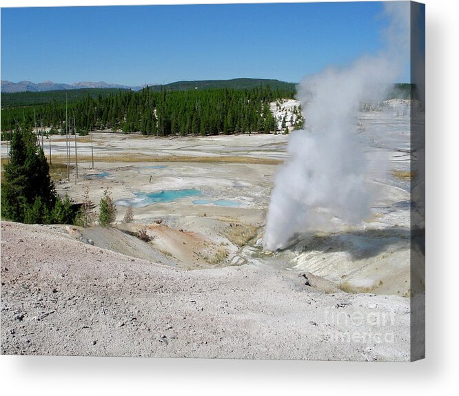 2006 Acrylic Print featuring the photograph Guardian Geyser Erupting by Bergfeld, Deborah,us Geological Survey/science Photo Library