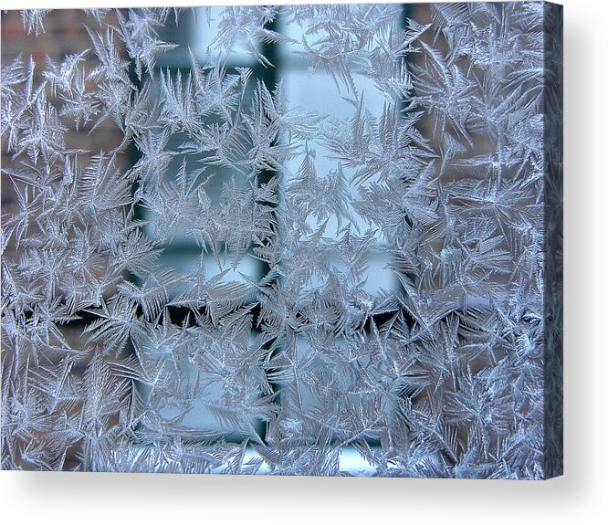 Cold Acrylic Print featuring the photograph Hoar by Andr Pelletier