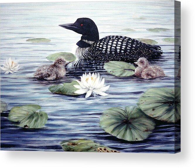 Ducks Acrylic Print featuring the painting In The Lilies by Kevin Dodds