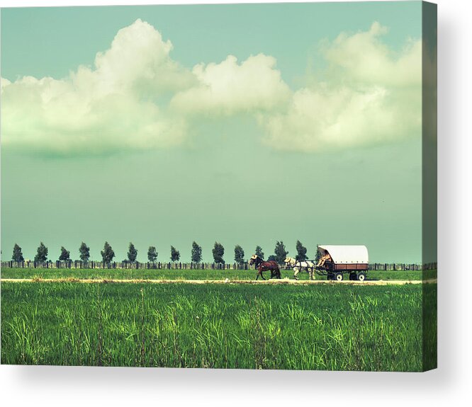 Horse Acrylic Print featuring the photograph Landscape With Carriage by Rafael Elias