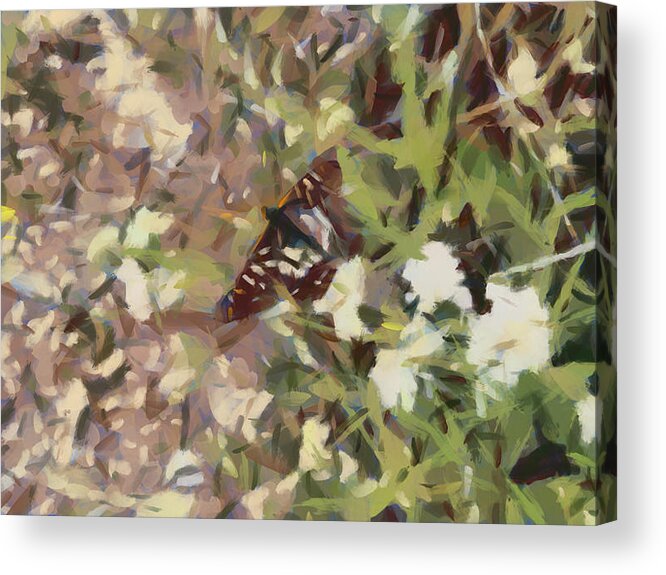 Butterfly Acrylic Print featuring the digital art Little Butterfly by Bernie Sirelson
