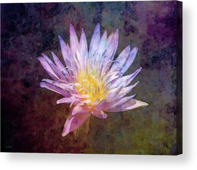 Impressionist Acrylic Print featuring the photograph Lotus Nebula 1888 IDP_2 by Steven Ward