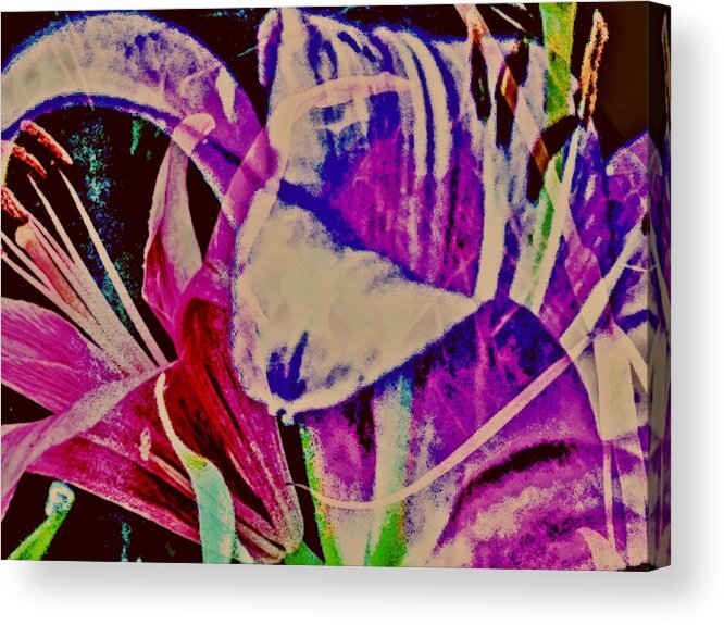 Floral Acrylic Print featuring the digital art Loving Pinks by Tommy McDonell