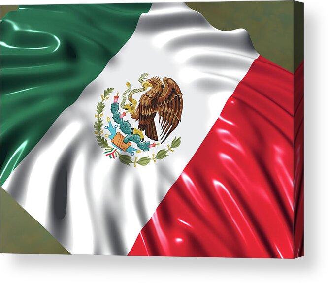 Mexican Flag Acrylic Print by Jaime Enriquez - Pixels