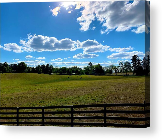Pasture Acrylic Print featuring the photograph Monkton Pastures by Chris Montcalmo