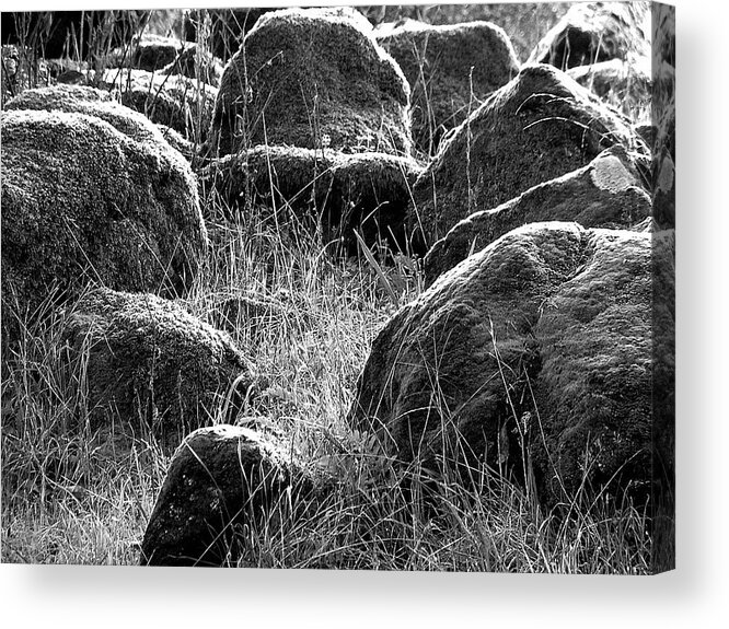 Rocks Acrylic Print featuring the photograph Mossy Rocks by Glory Ann Penington