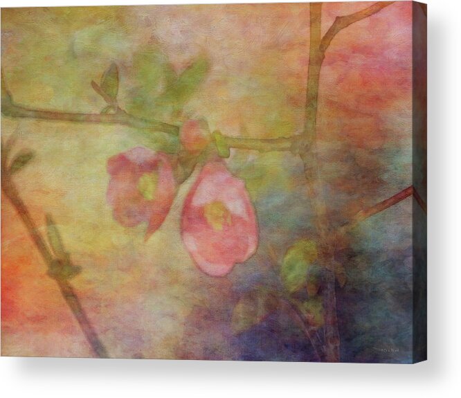 Impressionist Acrylic Print featuring the photograph Muted Primaries 8844 IDP_2 by Steven Ward