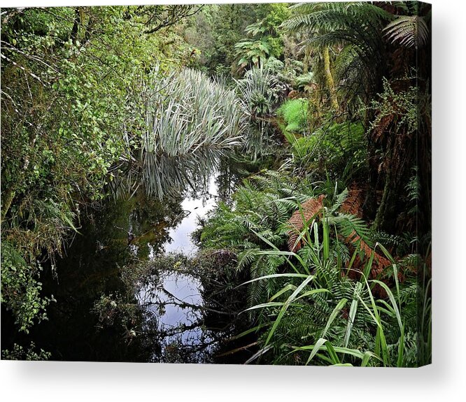Plant Acrylic Print featuring the photograph Nature reflections by Martin Smith
