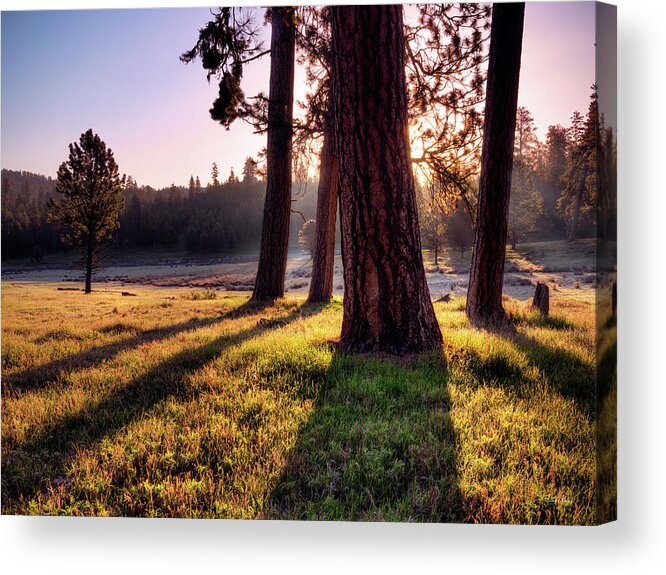 Beautiful Acrylic Print featuring the photograph Ochoco Meadow by Leland D Howard