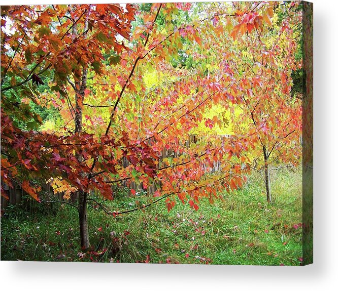Landscape Acrylic Print featuring the photograph October Day by Julie Rauscher
