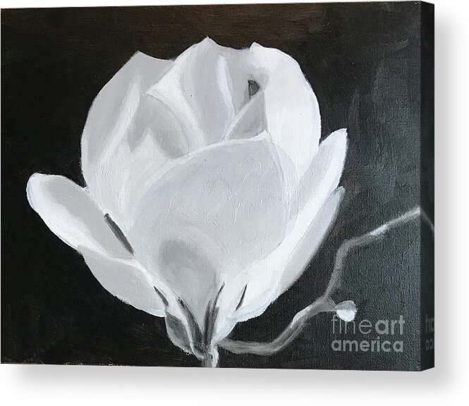 Original Art Work Acrylic Print featuring the painting Black and White Rose by Theresa Honeycheck