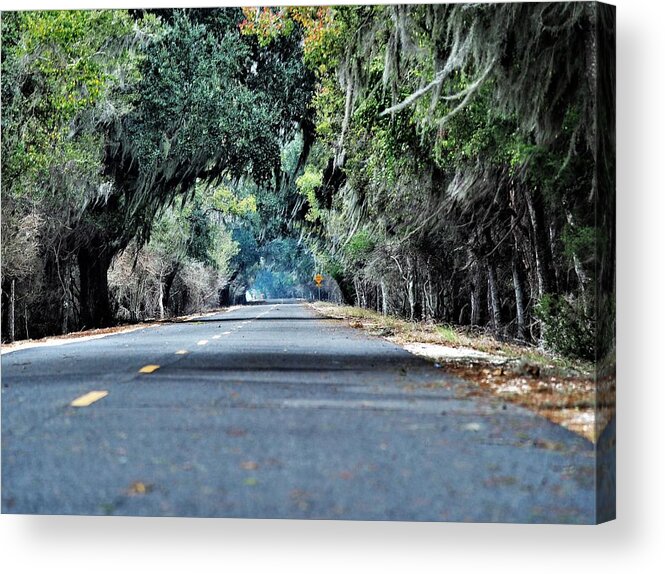 Hwy Acrylic Print featuring the photograph Old HWY 90 2 by Jerry Connally