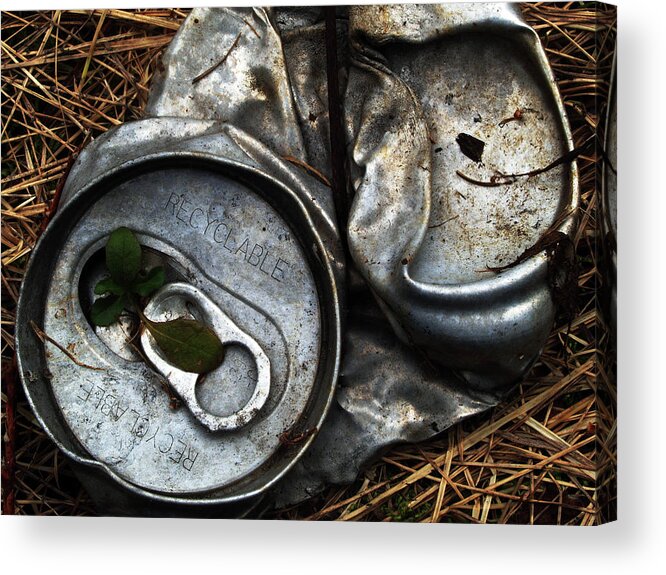 Old Pop Can Acrylic Print featuring the photograph Old Pop Can by Clive Branson