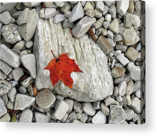 Fall Acrylic Print featuring the photograph One Leaf Many Rocks by David T Wilkinson