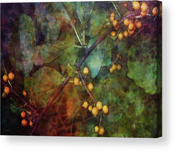 Impressionist Acrylic Print featuring the photograph Orange Berries 5317 IDP_2 by Steven Ward