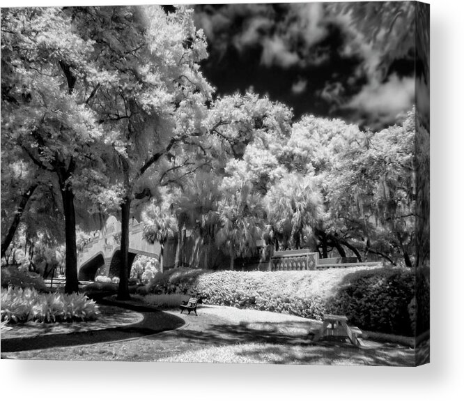 Photography Acrylic Print featuring the photograph Path at the Golf Cart Bridge by Betty Eich
