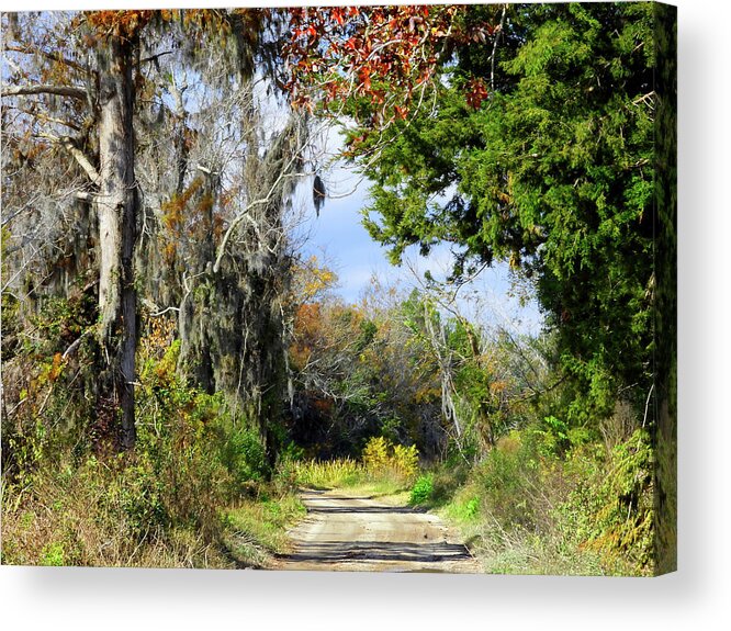 Altamaha Acrylic Print featuring the photograph Pathways and Promises by Laura Ragland