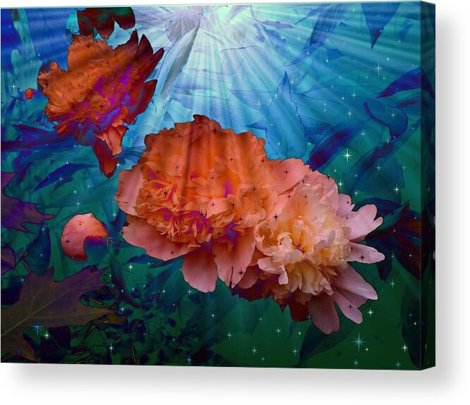 Peony Floral Acrylic Print featuring the photograph Peonies Under Water by Mike McBrayer