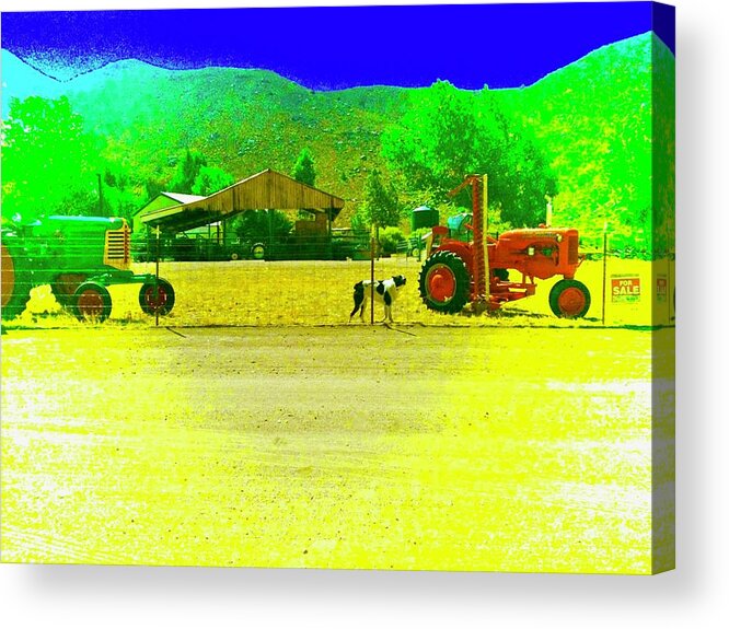 Farm Acrylic Print featuring the photograph Red Tractor for Sale by Debra Grace Addison