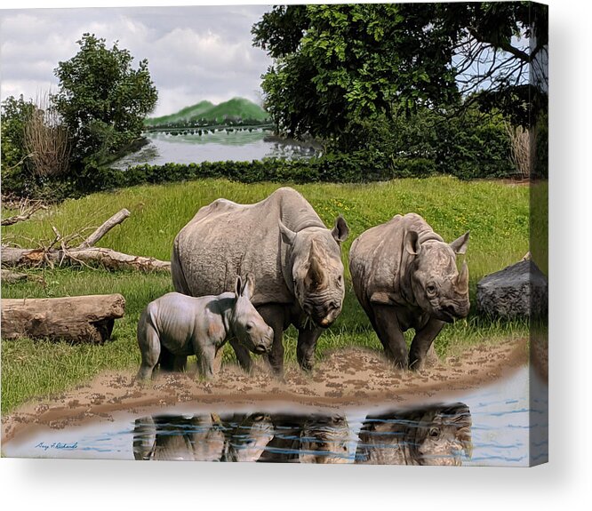 Rhinoceroses Acrylic Print featuring the mixed media Reflections by Gary F Richards
