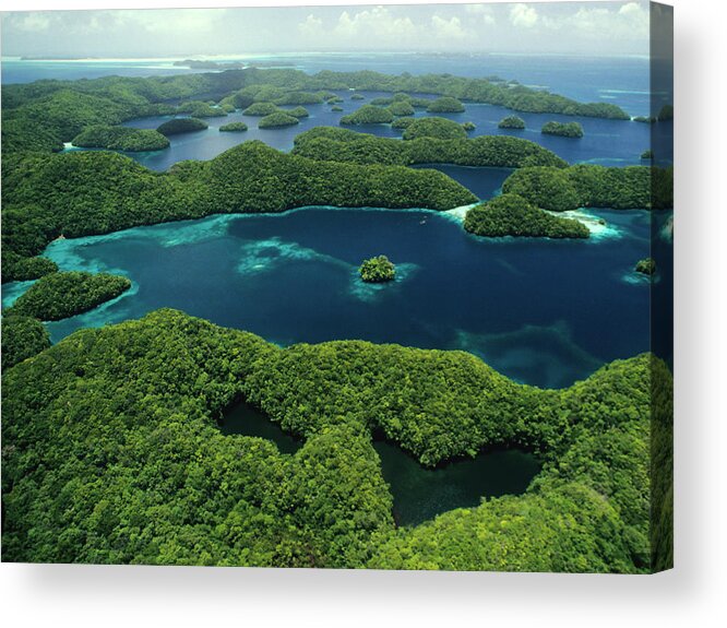 Tropical Rainforest Acrylic Print featuring the photograph Rock Islands & Jellyfish Lake, Palau by Tammy616