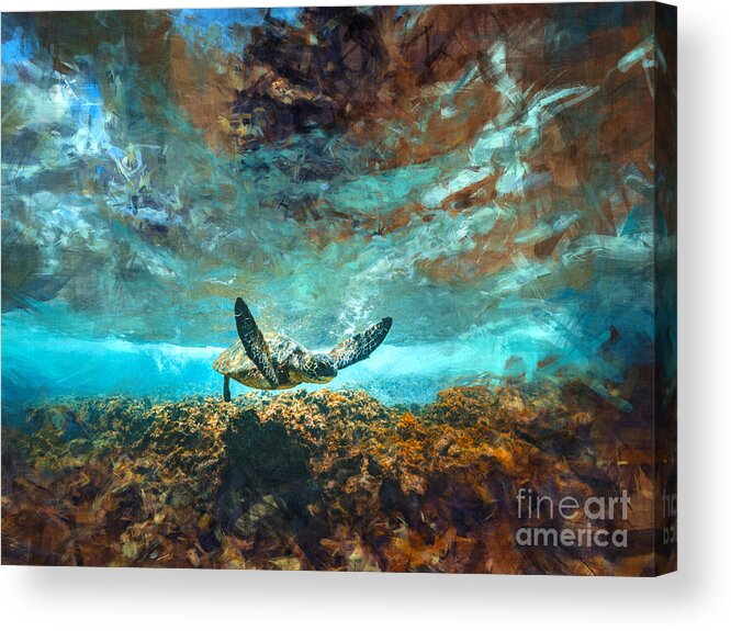 Sea Turtle Acrylic Print featuring the digital art Sea Turtle by Phil Perkins