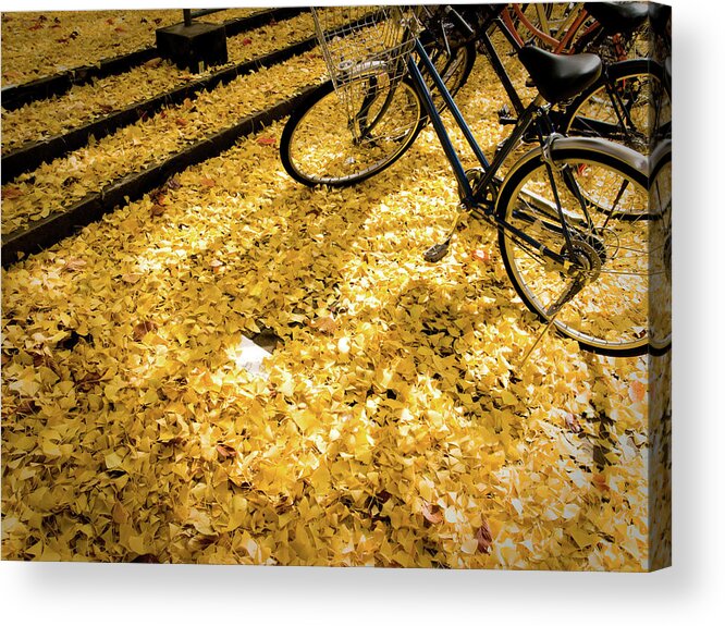 Tranquility Acrylic Print featuring the photograph Shade Of Bike On The Fallen Leaves Of by Marser